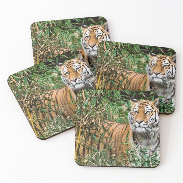 Item preview, Tiger designed and sold by Michelle Moss.