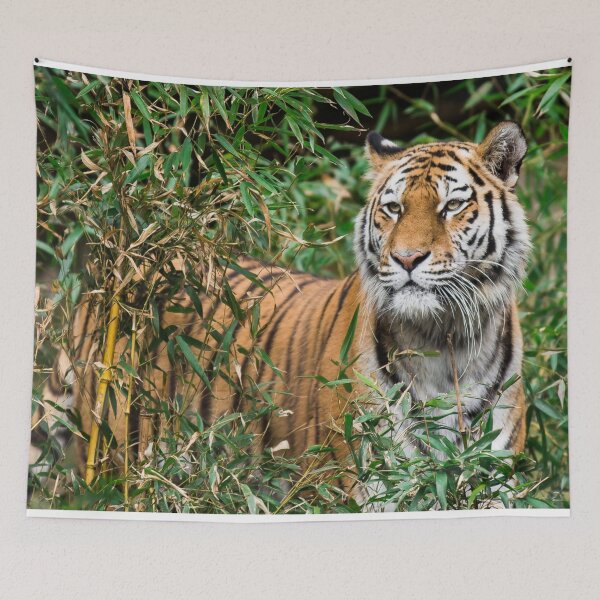 Item preview, Tiger designed and sold by Michelle Moss.