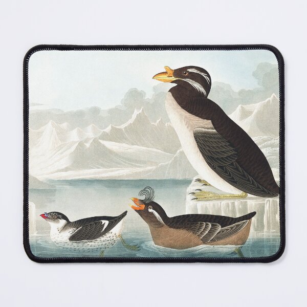 Item preview, John James Audubon - Auks and Guillemots (crop w/added background) designed and sold by ForLoveofArt.