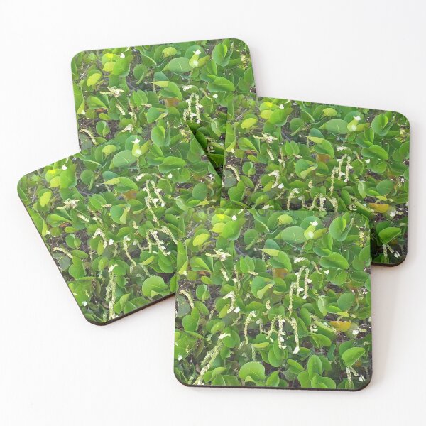 Item preview, Long Island Baha Butterflies & Grape Bloom Pollination designed and sold by SaSaBoutique.