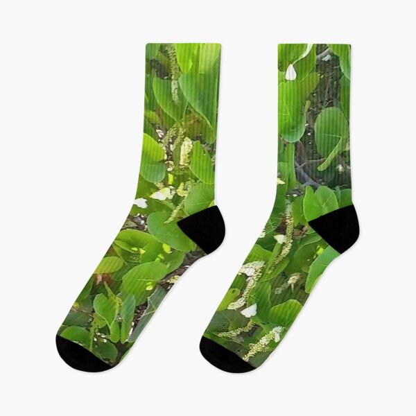 Item preview, Long Island Baha Butterflies & Grape Bloom Pollination designed and sold by SaSaBoutique.