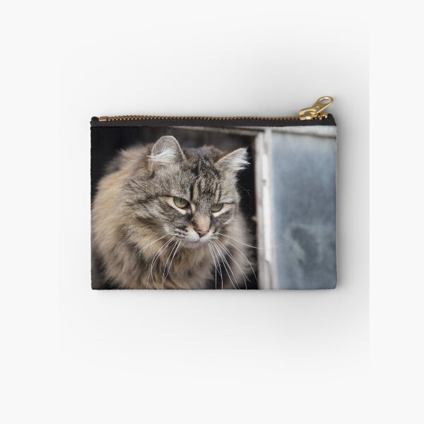 Item preview, Greetings from the Barn designed and sold by KansasA.