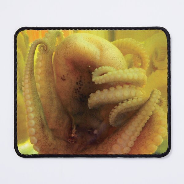 Item preview, pickled octopus designed and sold by 1CONOCLA5T.