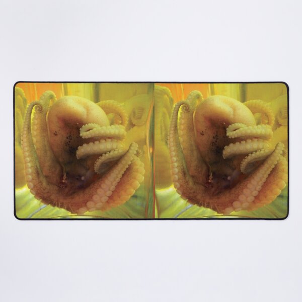 Item preview, pickled octopus designed and sold by 1CONOCLA5T.