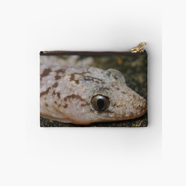 Item preview, Lesueur's Velvet Gecko - Oedura lesueurii designed and sold by Andrew Trevor-Jones.
