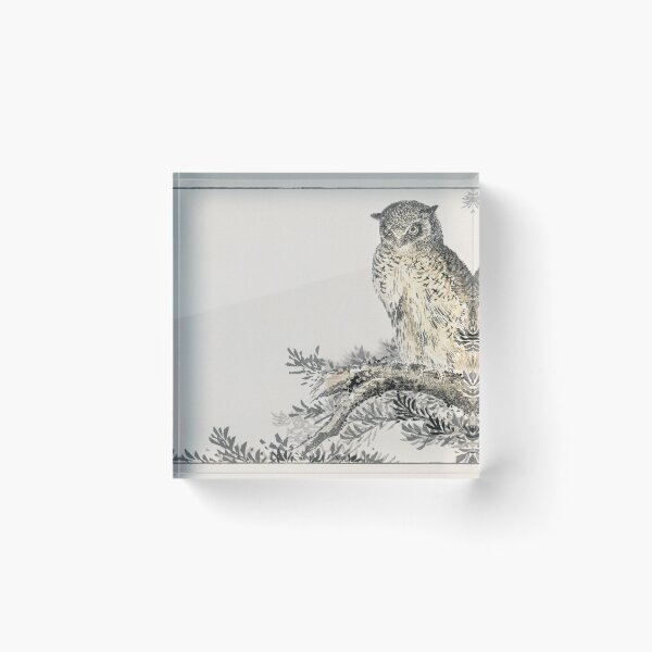 Item preview, Owl in Fir Tree by Numata Kashu - Japanese Vintage Artwork designed and sold by Purrfecta.