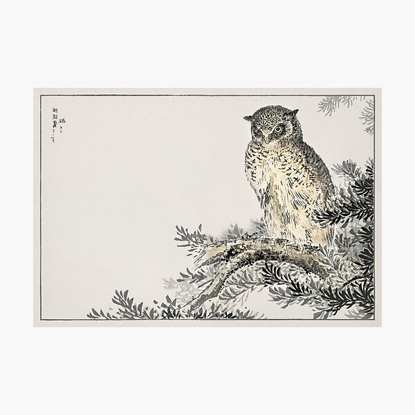 Item preview, Owl in Fir Tree by Numata Kashu - Japanese Vintage Artwork designed and sold by Purrfecta.