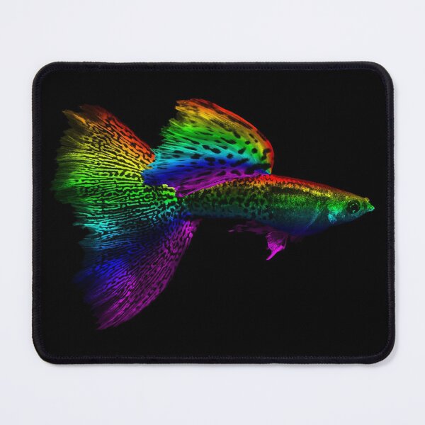 Item preview, Rainbow Guppy designed and sold by Handstand365.
