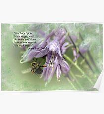 The Bee's Life Poster