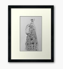 Peacock Sketch Framed Print