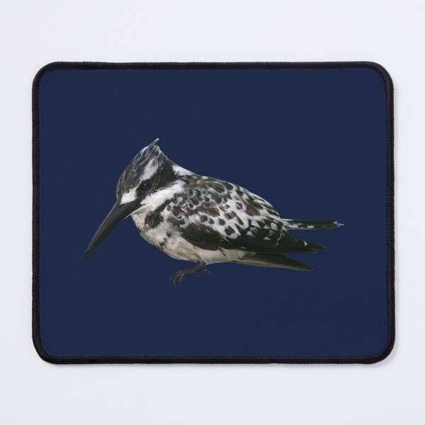 Item preview, Pied Kingfisher 5 designed and sold by quentinjlang.