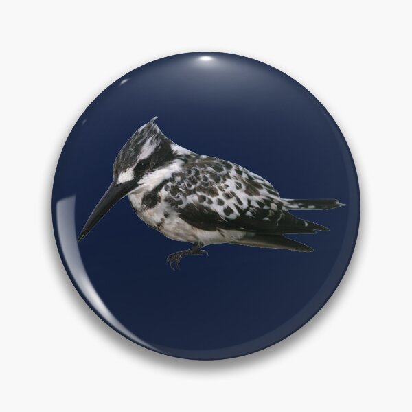 Item preview, Pied Kingfisher 5 designed and sold by quentinjlang.