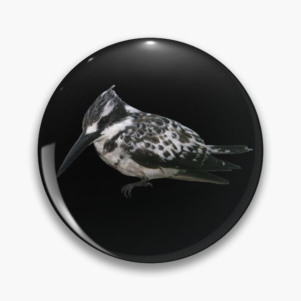 Item preview, Pied Kingfisher 6 designed and sold by quentinjlang.