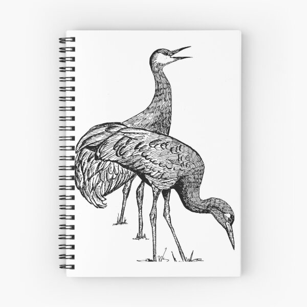 Item preview, Emu's  designed and sold by KauriMountain.
