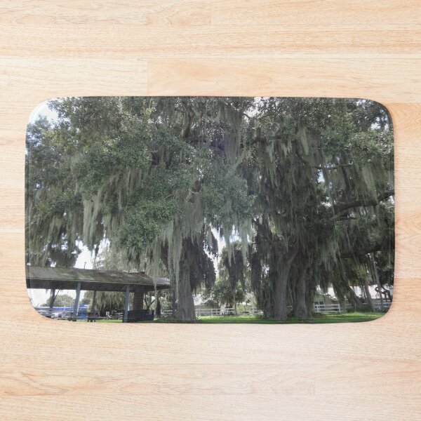 Item preview, Grand Old Live Oak Trees by Orikall designed and sold by HippieWorks.