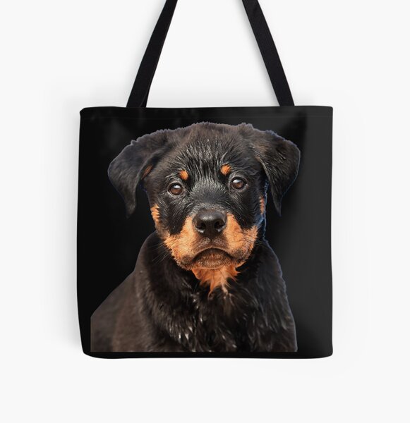 givenchy antigona rottweiler tote bolsa