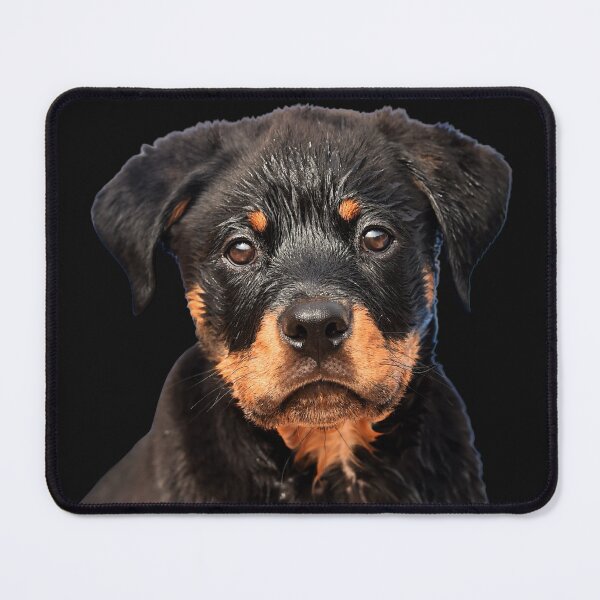 Item preview,  cute Rottweiler  | funny designed and sold by Artystico  ⭐⭐⭐⭐⭐.