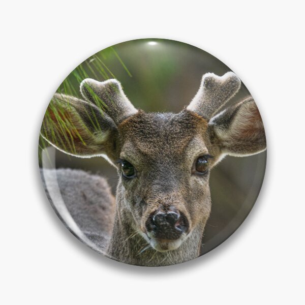 Item preview, Woodland Baby Antler Deer designed and sold by TheWildFlix.
