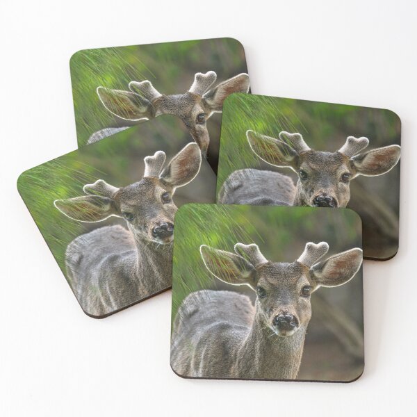 Item preview, Woodland Baby Antler Deer designed and sold by TheWildFlix.