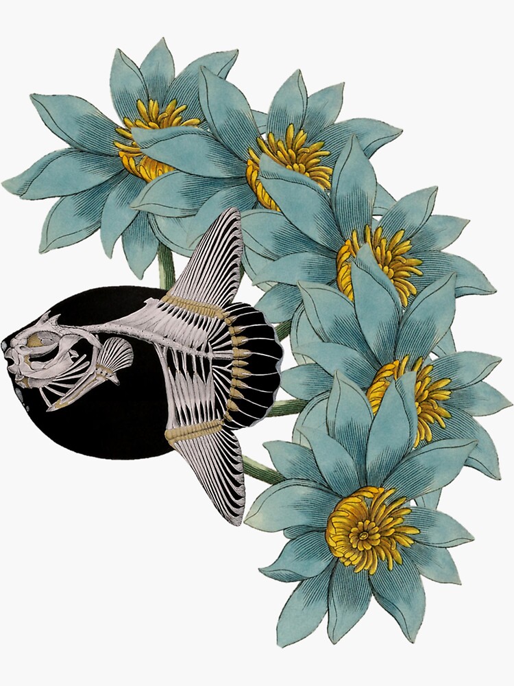 Blue Flower Mola Mola Sunfish Skeleton | Sticker