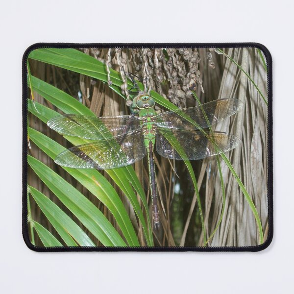 Item preview, Dragonfly 2 by Orikall designed and sold by HippieWorks.