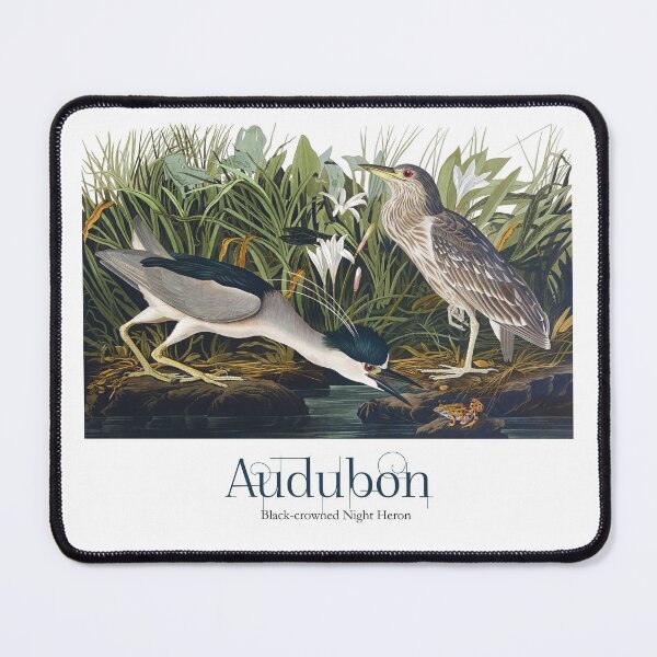 Item preview, John James Audubon - Black-crowned Night Heron designed and sold by TheCurators.
