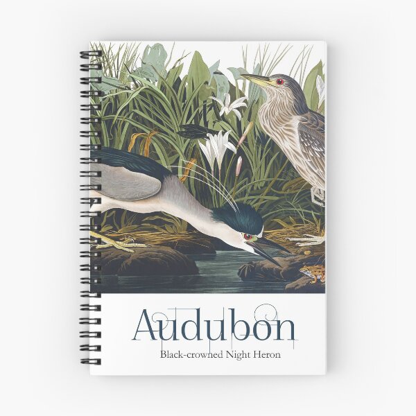 Item preview, John James Audubon - Black-crowned Night Heron designed and sold by TheCurators.