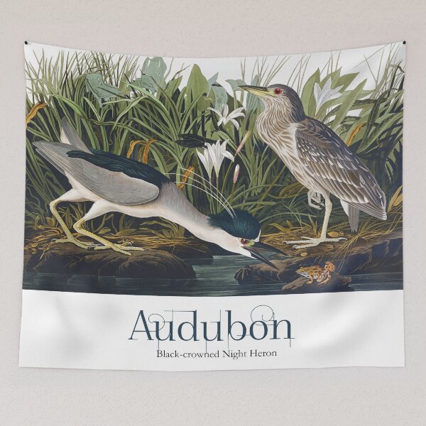 Item preview, John James Audubon - Black-crowned Night Heron designed and sold by TheCurators.