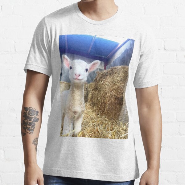 "Smiling Lamb" Tshirt for Sale by TrulyAmy Redbubble lamb tshirts