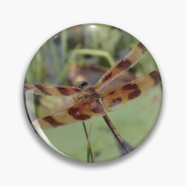 Item preview, Dragonfly by Orikall designed and sold by HippieWorks.