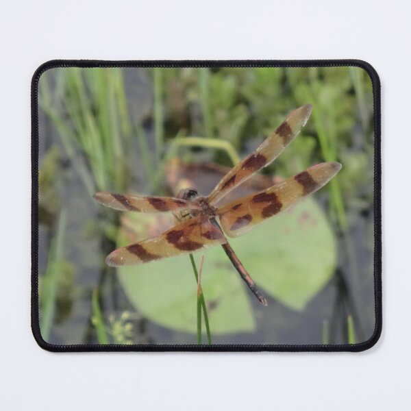 Item preview, Dragonfly by Orikall designed and sold by HippieWorks.