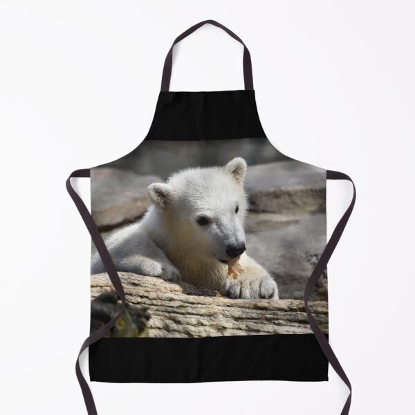 Item preview, Polar Bear Cub at the Toledo Zoo designed and sold by Zoo and Nature Photography by Karie.