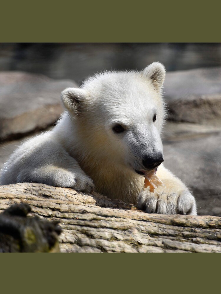 ShopZoo Protect The Polar Bear Moms & Cubs Tee Xlg