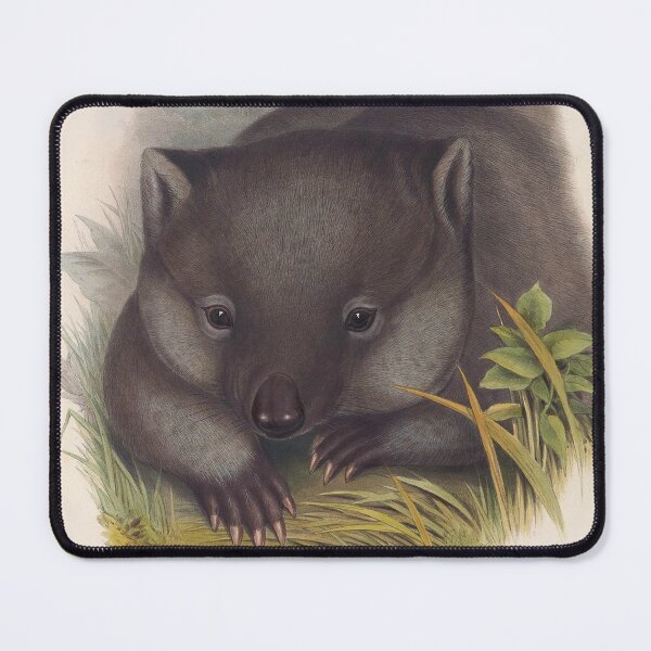 Item preview, Phascolomy's Wombat (Common Wombat) by Henry Richter designed and sold by TheCurators.
