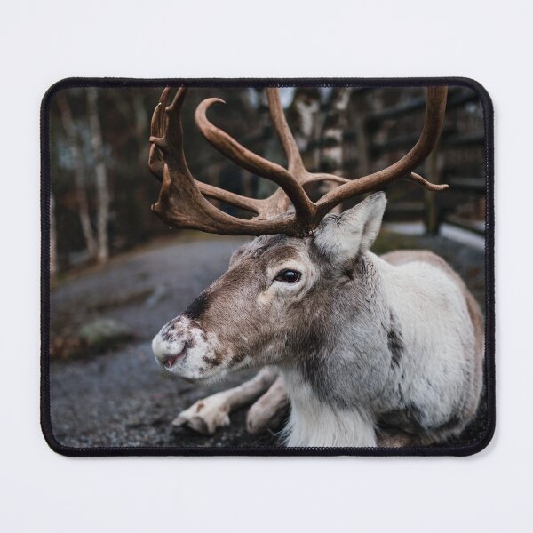 Item preview, Woodland Whitetail Christmas Deer designed and sold by TheWildFlix.