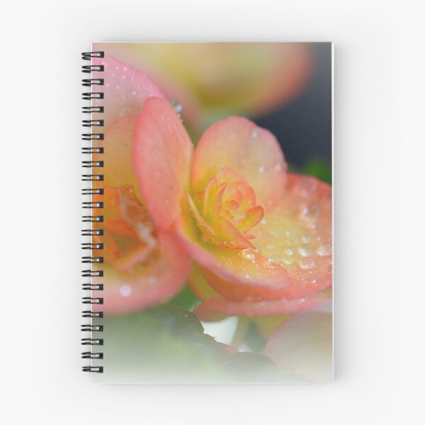 Item preview, pink  begonias designed and sold by paul gavin.