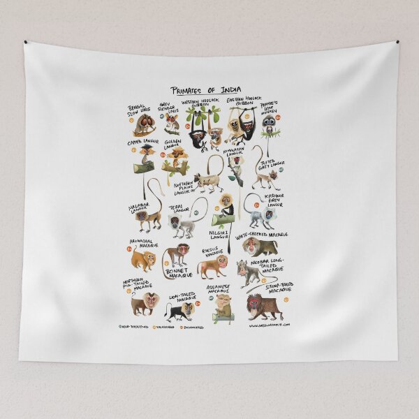 Item preview, Primates de la India designed and sold by Green Humour.