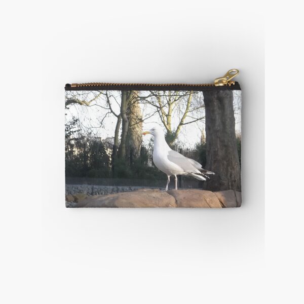 Item preview, London Zoo/Seagull -(190212)- digital photo designed and sold by paulramnora.