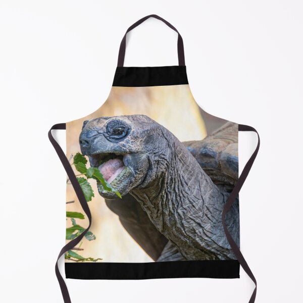 Item preview, Aldabra Tortoise at the National Zoo designed and sold by Zoo and Nature Photography by Karie.