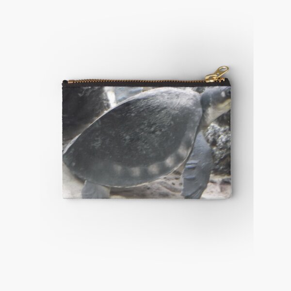 Item preview, London Zoo/Reptile House/Turtle/(2 of 2) -(190212)- digital photo designed and sold by paulramnora.