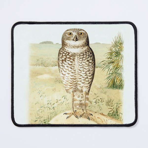 Item preview, Florida Burrowing Owl from The Auk, 1884 designed and sold by TheCurators.
