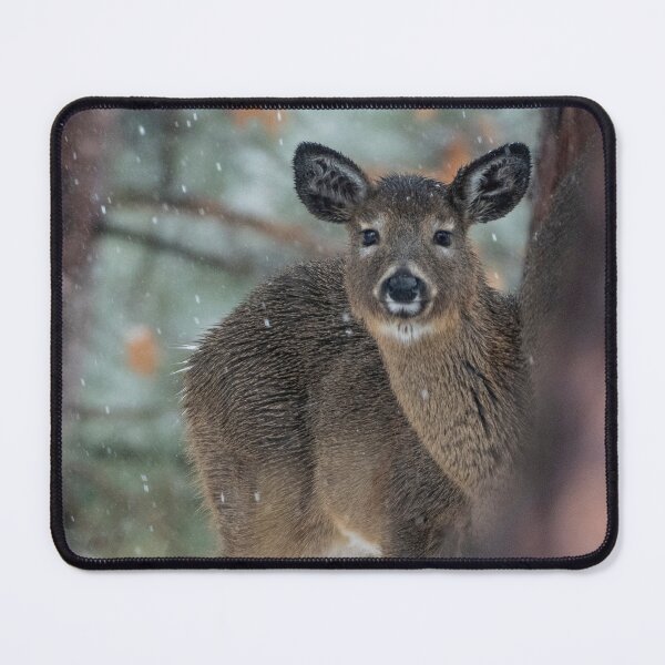 Item preview, White-tailed deer in winter designed and sold by TheCurators.