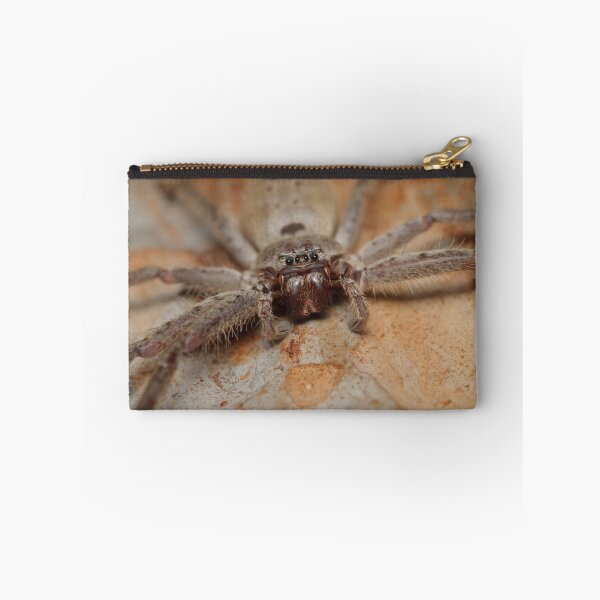 Item preview, Brown Huntsman - Heteropoda sp. designed and sold by Andrew Trevor-Jones.