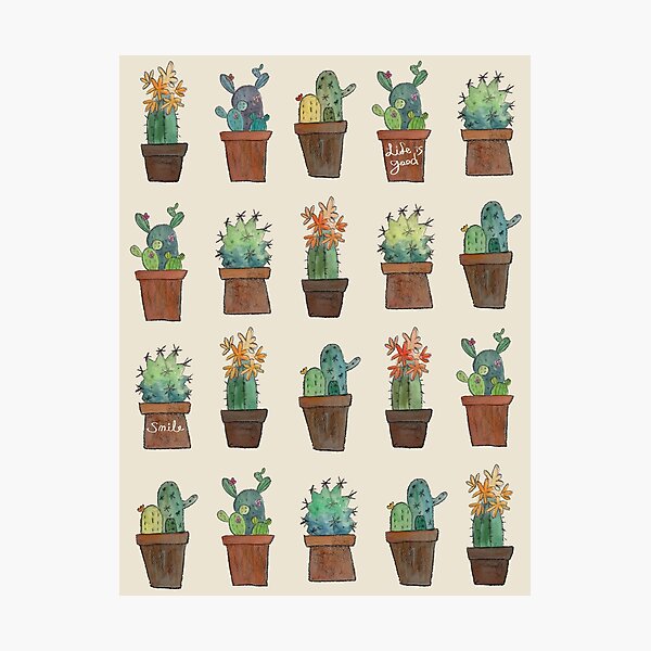 Cactus Lover Photographic Print