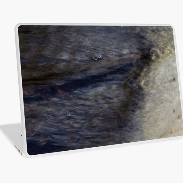 Shark! Laptop Skin