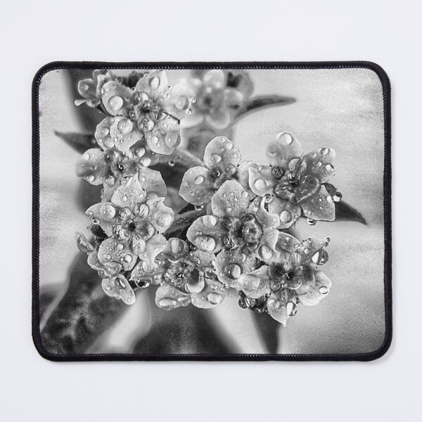 Item preview, Forget Me Not designed and sold by Jennifer Phipps.