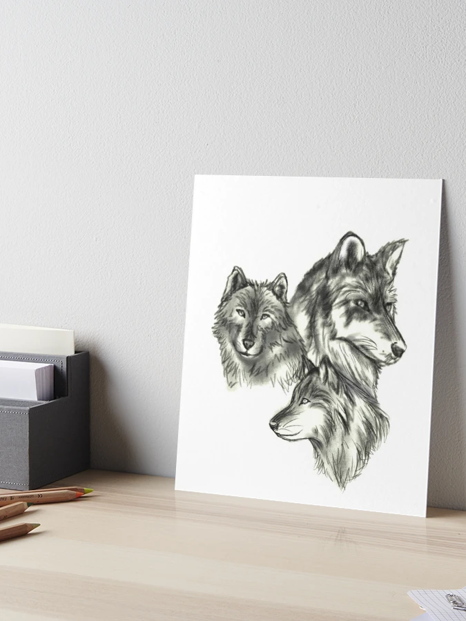 Teen Wolf Set of 3 Drawing Sketch Printsaceo Fan Prints of 