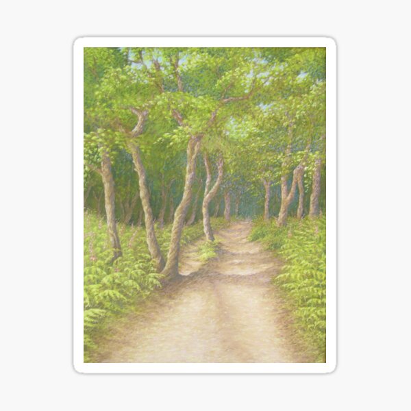 Path Through the Trees, Leith Hill, Surrey Sticker