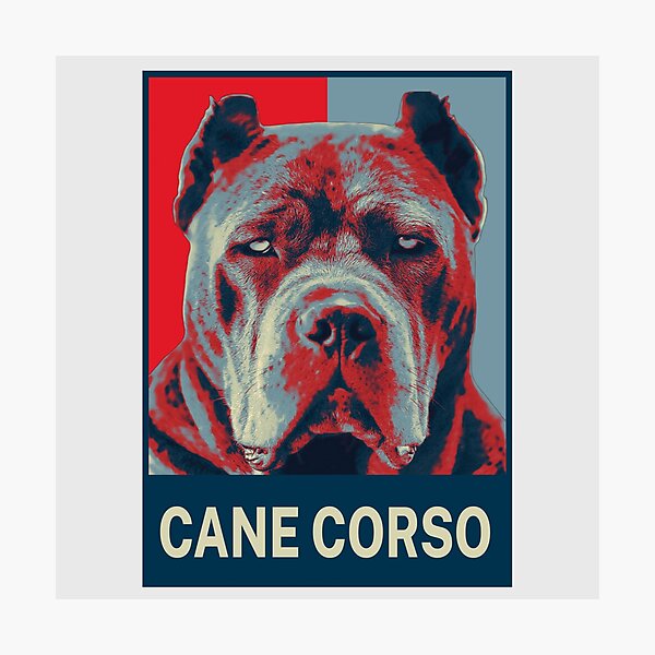 Artikelvorschau, Cane Corso Art entworfen und verkauft von Gerrrysalut.