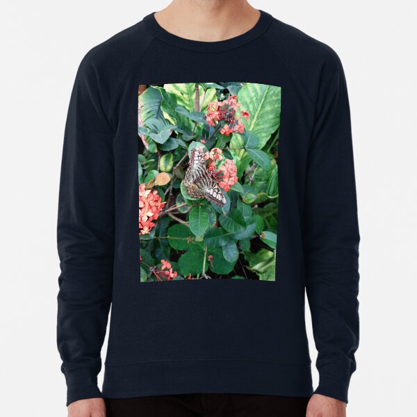 Item preview, Parthenos sylvia, the clipper butterfly on a flower wildlife  designed and sold by LukjanovArt.